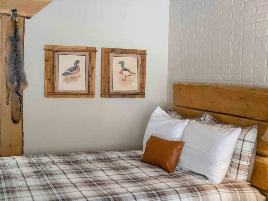 Stonegate Lodge 2 Queen Beds Fast Wifi 50In Tv Salt Water Pool Room # 305 ยูเรกาสปริงส์ ภายนอก รูปภาพ